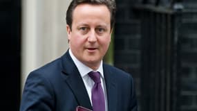 Contrairement à une majorité des conservateurs, David Cameron s'est dit faborable au mariage homosexuel.
