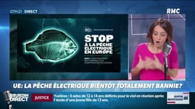 INFORMATION RMC -  Une étape cruciale vers une interdiction de la pêche électrique