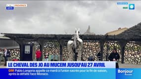 Zeus, le cheval des JO est à Marseille jusqu'au 27 avril
