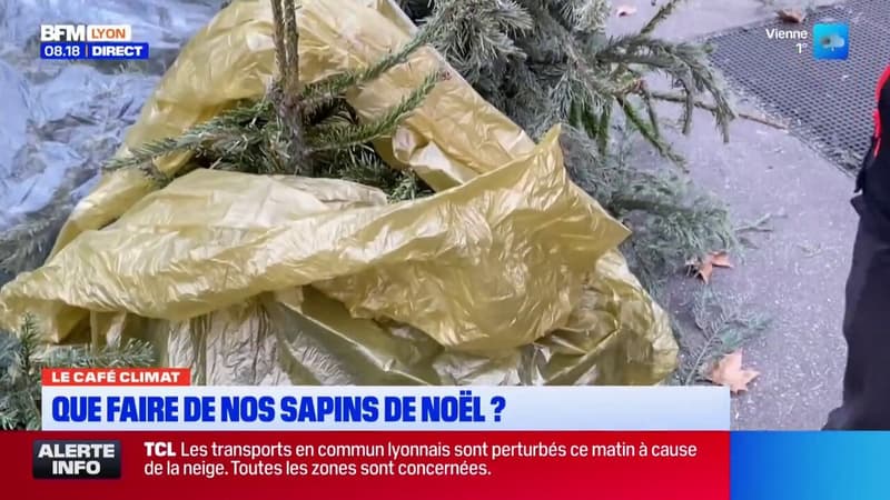 Le Café Climat: que faire de son sapin de Noël?