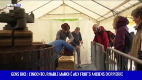 GENS DICI : L'incontournable marché aux fruits anciens d'Orpierre