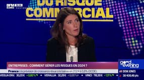 Les chroniques du risque commercial : Entreprises, comment gérer les risques en 2024 ? - 05/02