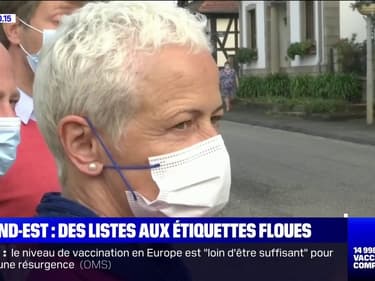 Régionales dans le Grand-Est: des listes aux étiquettes floues