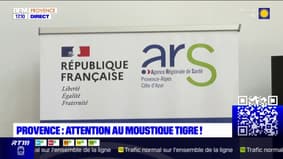 Provence: l'ARS met en garde contre le moustique tigre