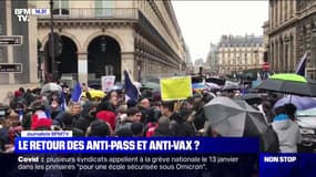 Des manifestants anti-pass sanitaire rassemblés place du Palais-Royal à Paris