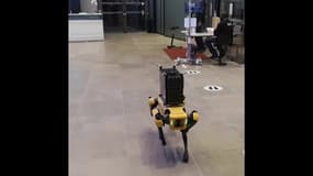Spot, le robot-chien décontaminateur s'est rendu dans les locaux de BFM Business 