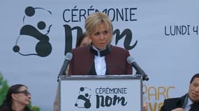 Brigitte Macron au zoo de Beauval, le 4 décembre 2017.