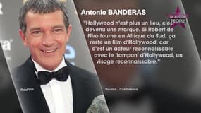 Antonio Banderas : "C'est très important pour moi, la sensualité"