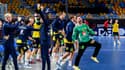 La joie des joueurs suédois emmenés par leur gardien d'expérience Palicka