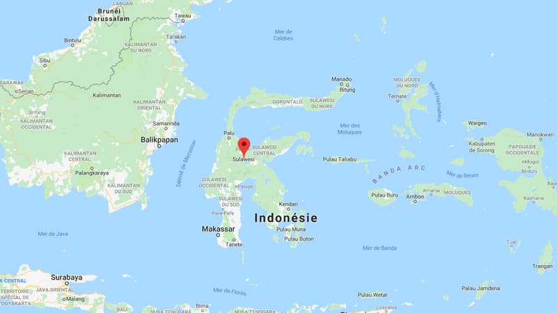 La secousse s'est fait ressentir au large de la côte est de l'île des Célèbes.