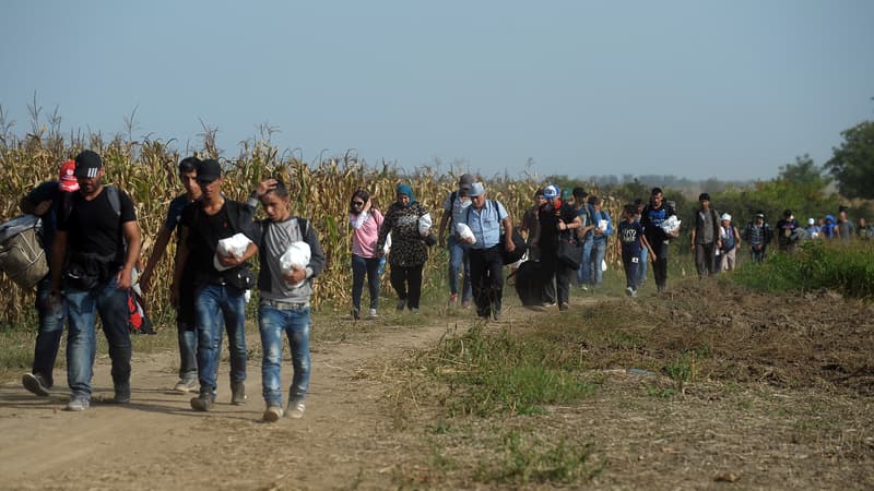 Les migrants traversent la Serbie pour se rendre en Croatie suite à la fermeture de la frontière hongroise, le 16 septembre 2015