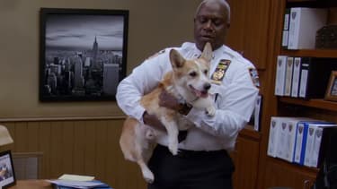 La capitaine Raymond Holt (Andre Braugher) et son corgi