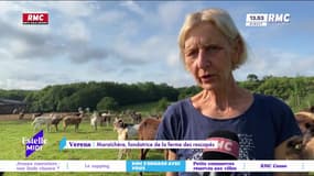 RMC s’engage avec vous : Lot, un sanctuaire pour animaux menacé - 27/06