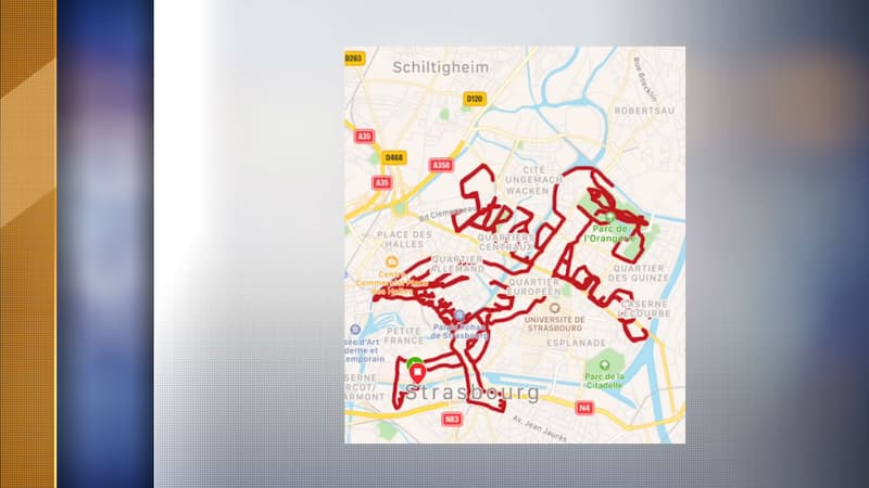 Le tracé de ce footing de 50,99km à Strasbourg.