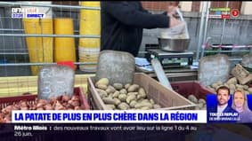 Hauts-de-France: la pomme de terre de plus en plus chère dans la région
