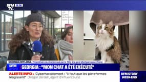 Story 6 : Neko, le chat martyr du TGV - 20/01