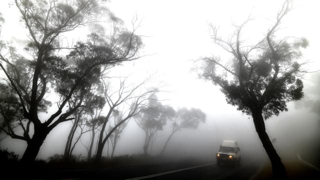Un véhicule entouré d'un mélange de fumée et de brouillard, près de Sydney en Australie, le 11 janvier 2020