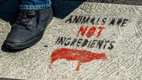 Le boucher agressé à Paris a reçu de nombreux soutiens.