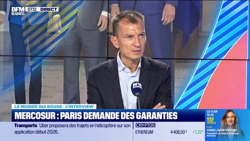 Pour Sébastien Abis, le Mercosur 