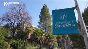 Expert d'Ici : l'Université Côte d'Azur, des formations ambitieuses