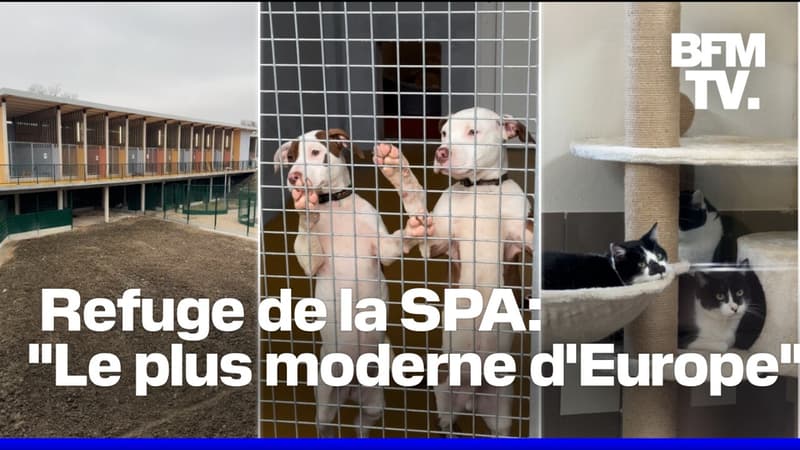 Le refuge nouvelle génération de la SPA de Gennevilliers ouvre ses portes