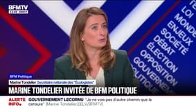 Marine Tondelier (Écologistes): “La sécurité, c'est aussi sur ce que l’on mange, de ce qu’on respire, ce que l’on boit, mais aussi la sécurité sociale”