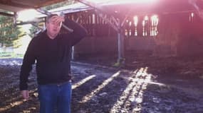 Daniel, éleveur bovin depuis 25 ans, a dû vendre son cheptel bovin pour se reconvertir dans les céréales.