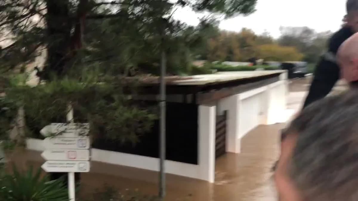 placeholder video