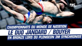 Alexis Jandard et Jules Bouyer en bronze aux Mondiaux de Natation