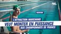 Natation : L’attraction Marchand veut monter en puissance aux championnats de France