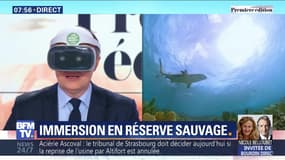 Immersion en réserve sauvage