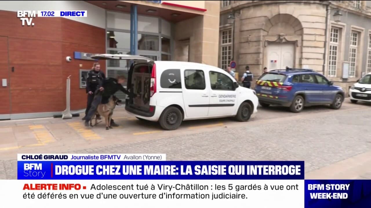 Yonne 70kg de cannabis retrouvés au domicile de la maire d'Avallon, le