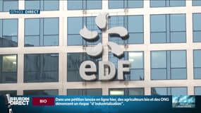 Hausse à venir de 5,9% des tarifs de l’électricité: alors que le gouvernement et EDF se rejettent la faute, qui dit vrai? 