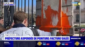 25.000 euros facturés par la préfecture du Rhône après avoir été aspergée de peinture