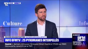 Incendies: 25 individus soupçonnés d'être pyromanes interpellés