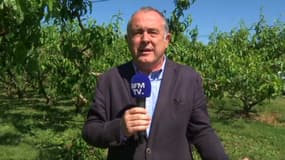 Didier Guillaume, le ministre de l'Agriculture, sur BFMTV ce dimanche matin
