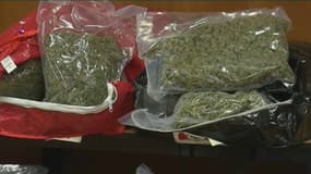 Lyon : 9 tonnes de cannabis saisies