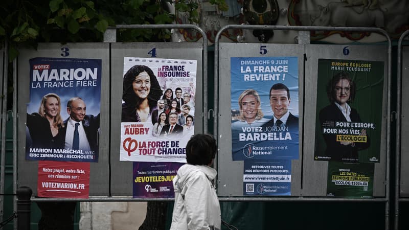 Regarder la vidéo Européennes 2024: pourquoi certains panneaux d'affichages resteront vides devant les bureaux de vote