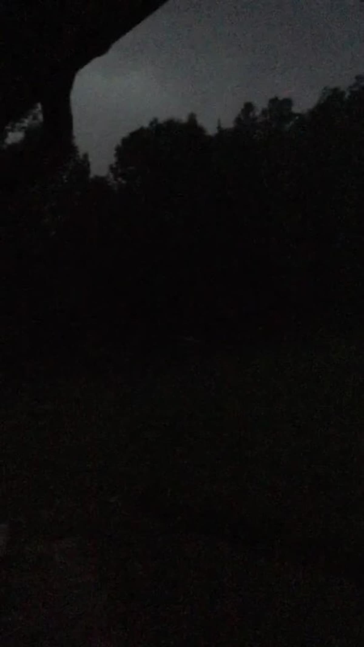 placeholder video