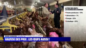 Hausse des prix : les œufs aussi ! - 13/01