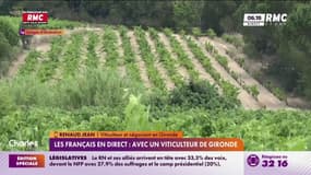 Législatives : "Le RN n'est pas une solution" pour un viticulteur de Gironde