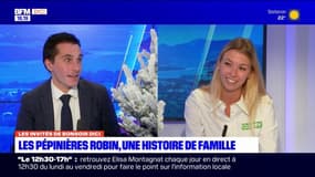 Hautes-Alpes: les Pépinières Robin, une histoire de famille