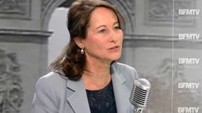 La ministre de l'Ecologie et de l'Energie, Ségolène Royal, sur le plateau de BFMTV-RMC le 20 novembre 2014.
