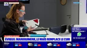 Planète locale du lundi 4 décembre - Évreux : maroquinerie, le maïs remplace le cuir 