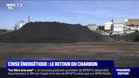 Face à la crise énergétique, la centrale à charbon de Saint-Avold en Moselle redémarre