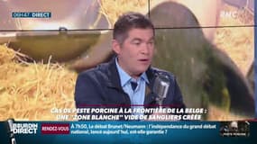 Paul Auffray, président de la fédération nationale porcine: "On trouve incompréhensible que la maladie passe de la Pologne et la Roumanie d'un seul coup."