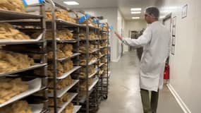 Alexis de Galembert, dirige une entreprise de Cookie à Gennevilliers au Nord de Paris. 