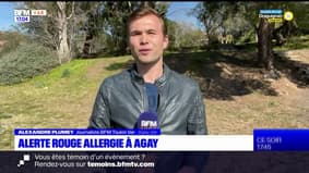 Var: le département en alerte rouge aux allergies au pollen