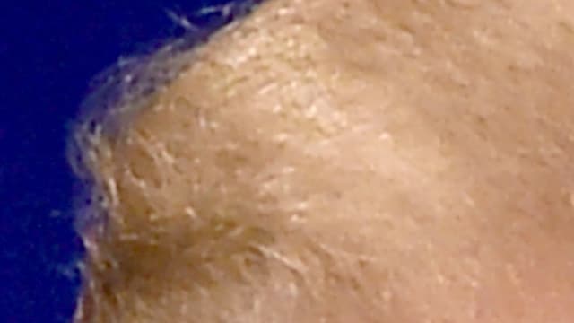 Donald Trump et Hillary Clinton s'affronteront au cours de trois débats présidentiels.