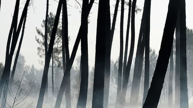 Le feu a été attisé par un vent violent (photo d'illustration)